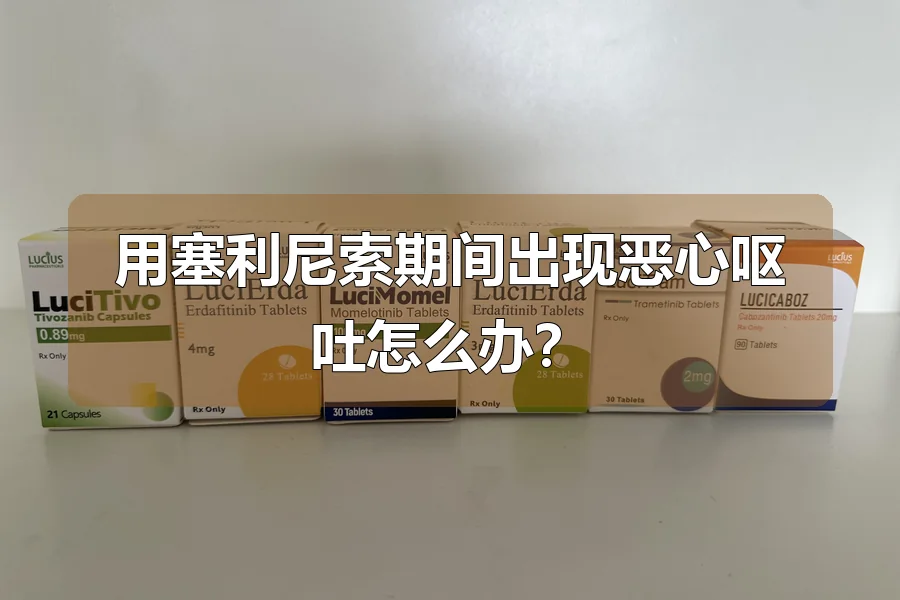 用塞利尼索期间出现恶心呕吐怎么办?